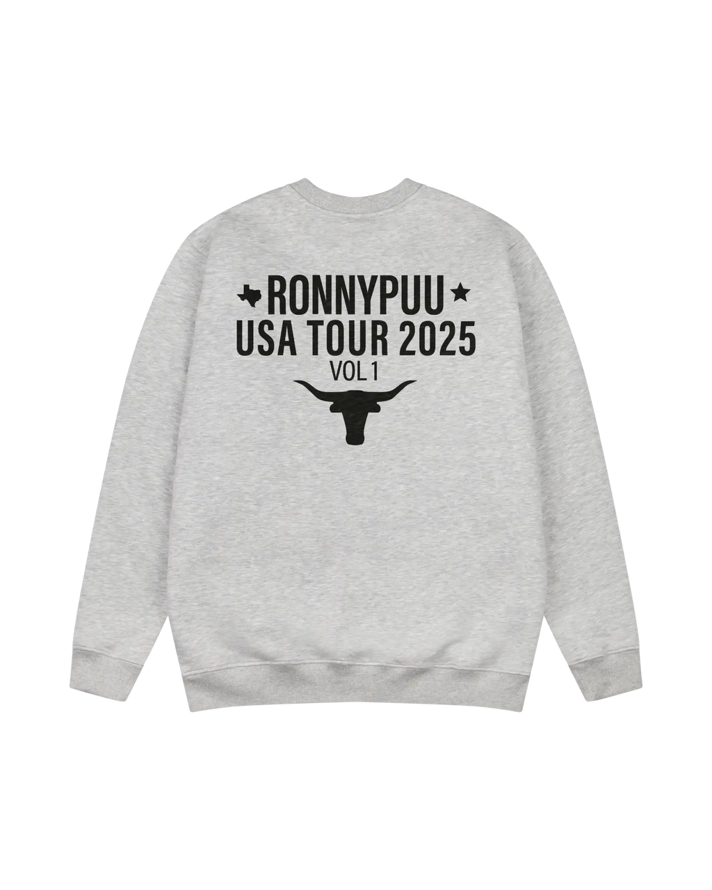 USA 2025 Oversized Crewneck